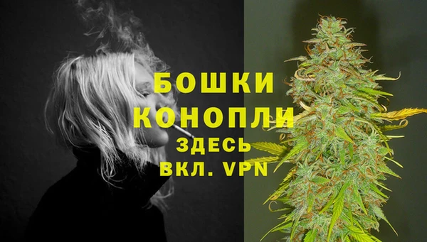 молекула духа Майский