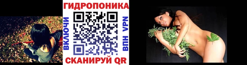 Марихуана семена  МЕГА онион  Сясьстрой 